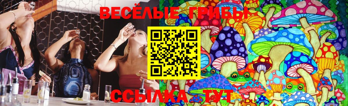 Псилоцибиновые грибы Magic Shrooms  Вход с VPN  Ялта 